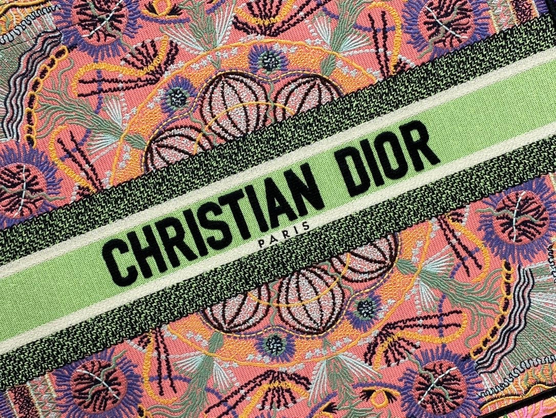 Christian Dior DIOR BOOK TOTE Multicolor Dior In Lights Embroidery