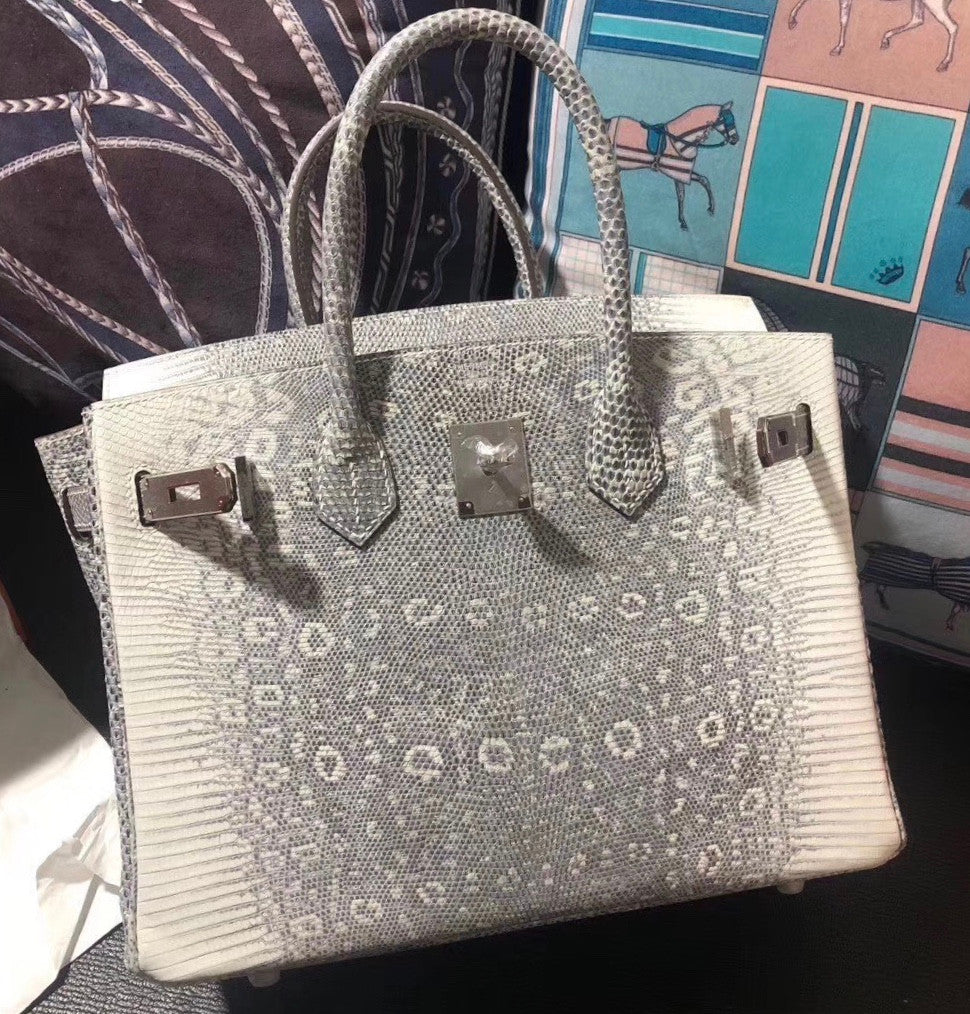 Hermes Rare SHINY OMBRÉ SALVATOR LIZARD BIRKIN 30 WITH PALLADIUM HARDWARE