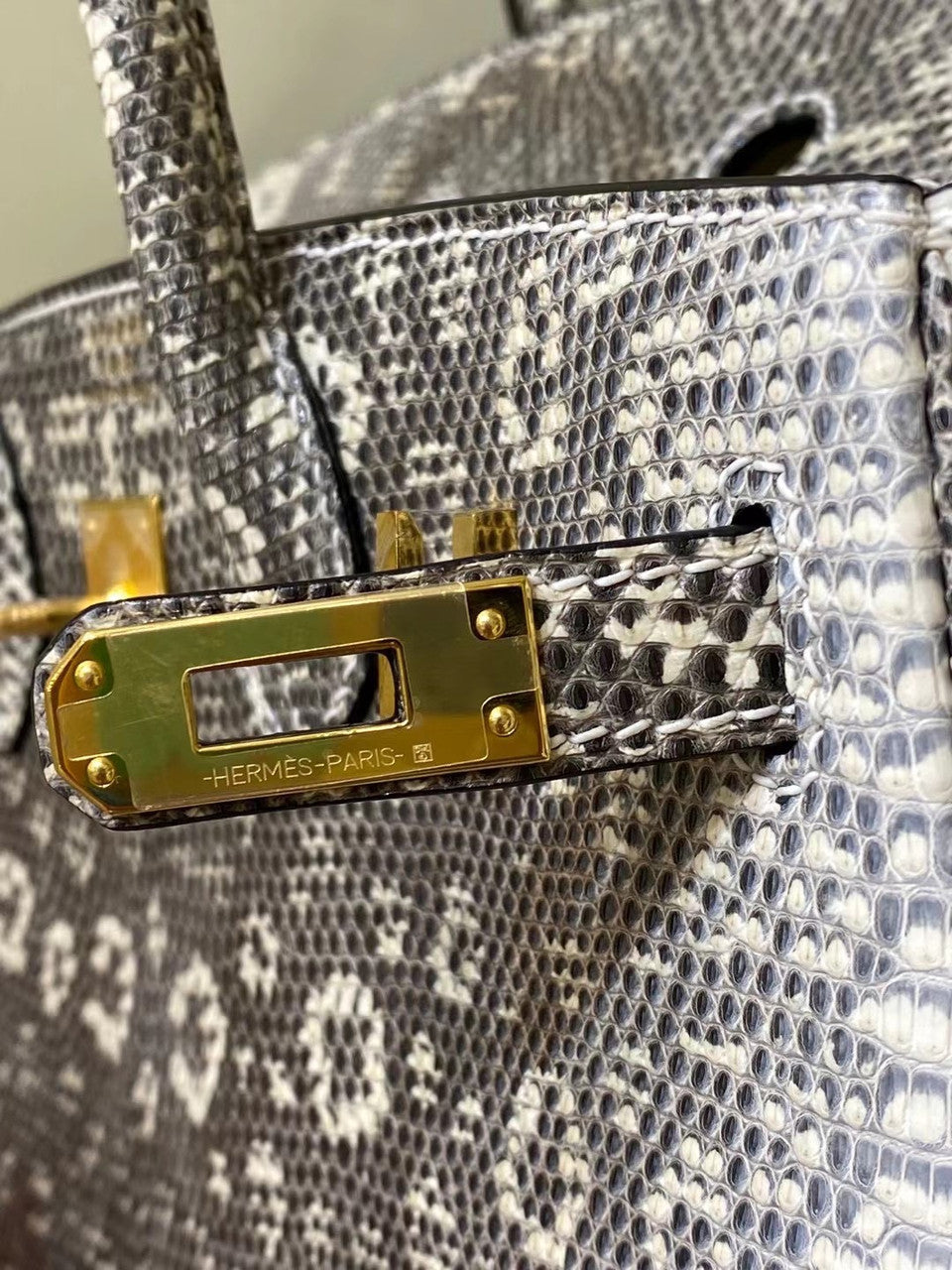 Hermes  Ombre Lizard Birkin Bag 25cm Gold Hardware