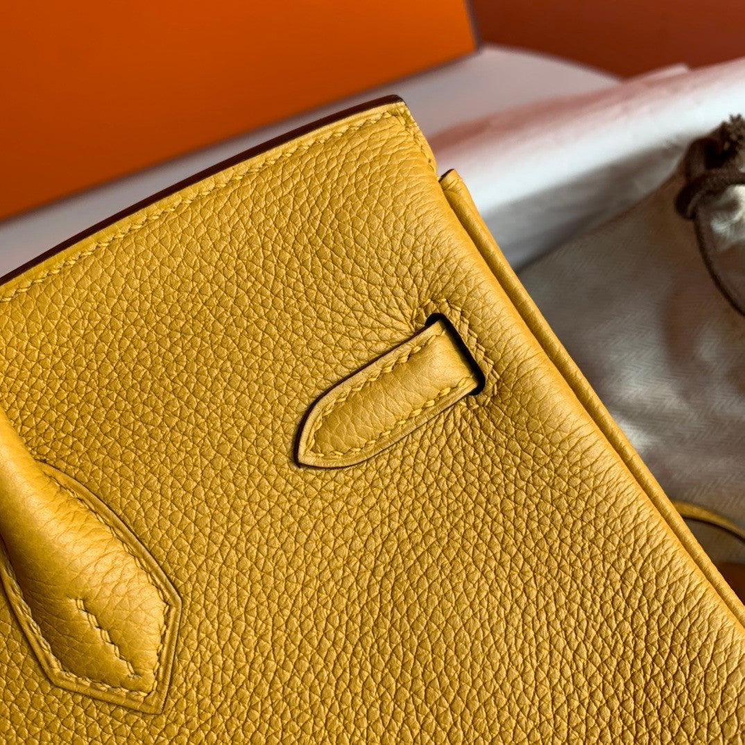 Hermes Hermes 9D Birkin 25 cm Togo Gold Hardware
