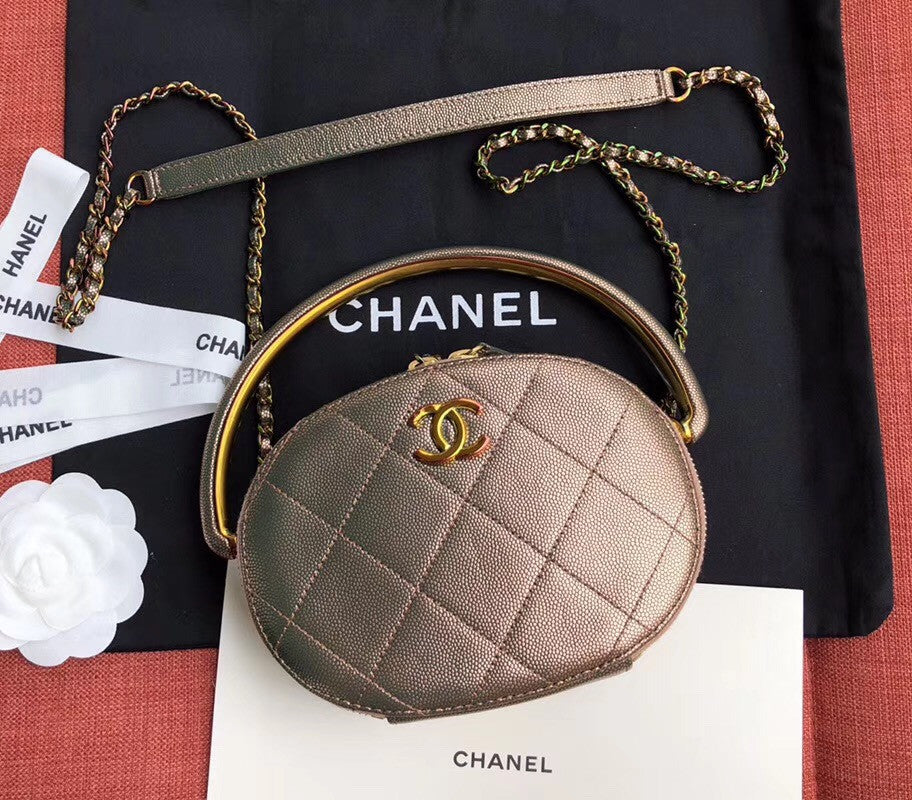 Chanel Metallic  Camera Case  AS0764