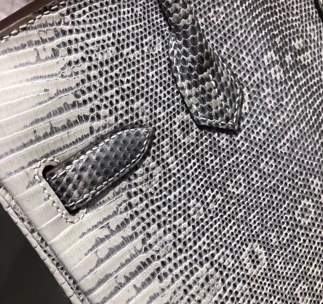Hermes SHINY OMBRÉ SALVATOR LIZARD BIRKIN 30 WITH PALLADIUM HARDWARE