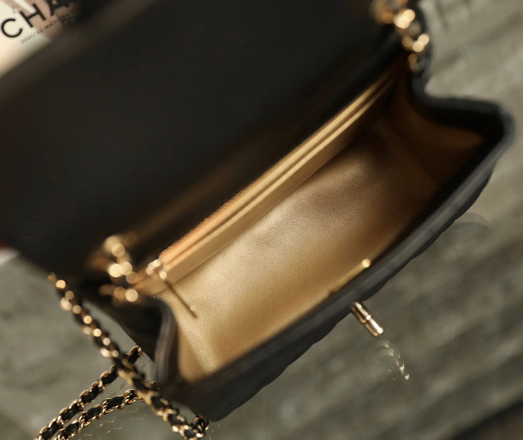 Chanel Cruise 2022/23 MINI FLAP BAG With Enamel
