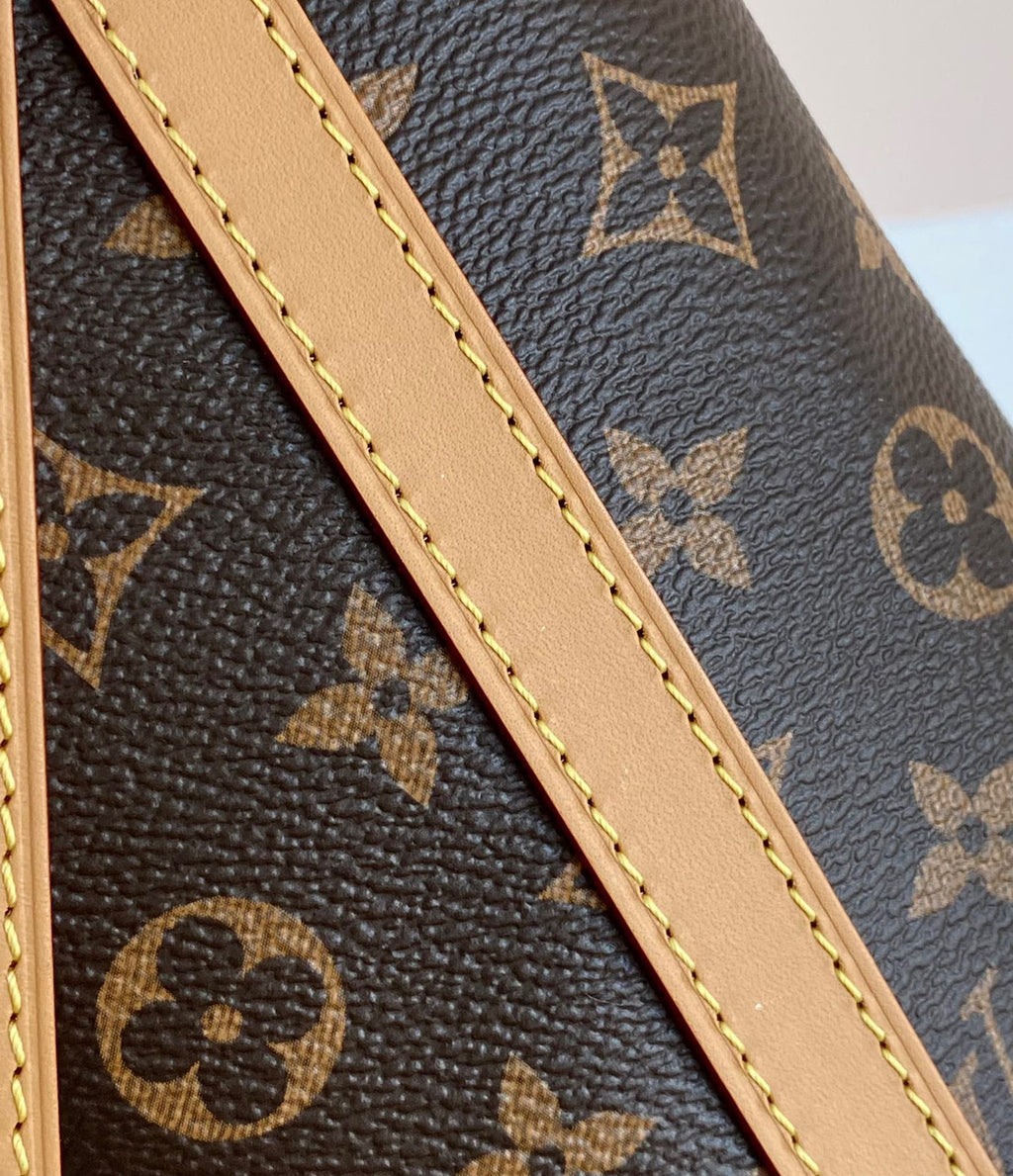 Louis Vuitton M46197 CARRYALL MM