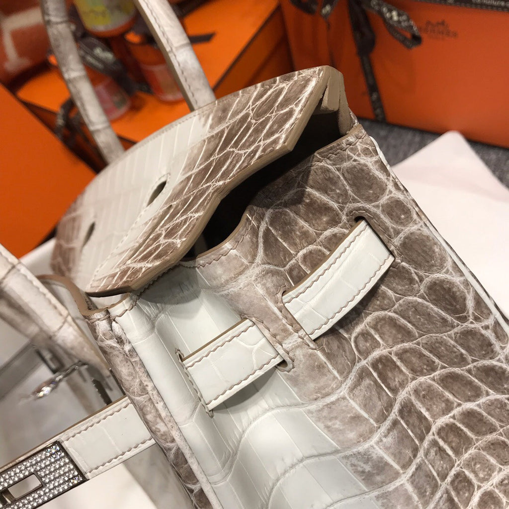 Hermes Matte Himalayan Prosperous  crocodile  Birkin bag with 18-karat white gold and diamond