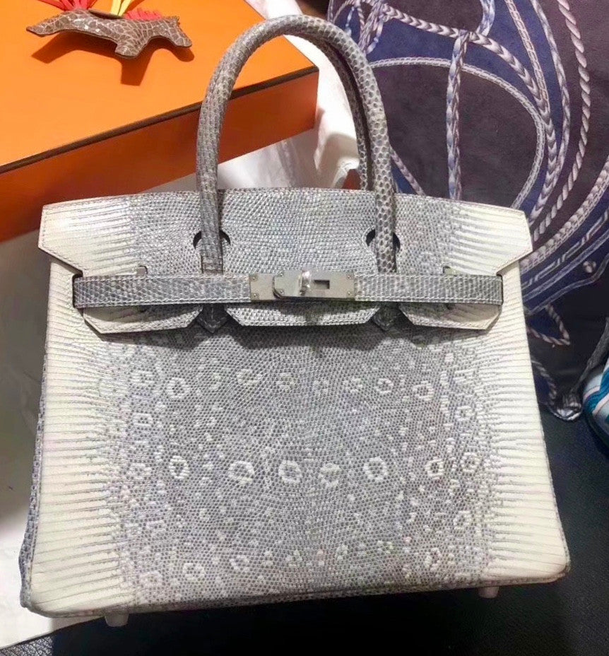 Hermes Rare SHINY OMBRÉ SALVATOR LIZARD BIRKIN 30 WITH PALLADIUM HARDWARE