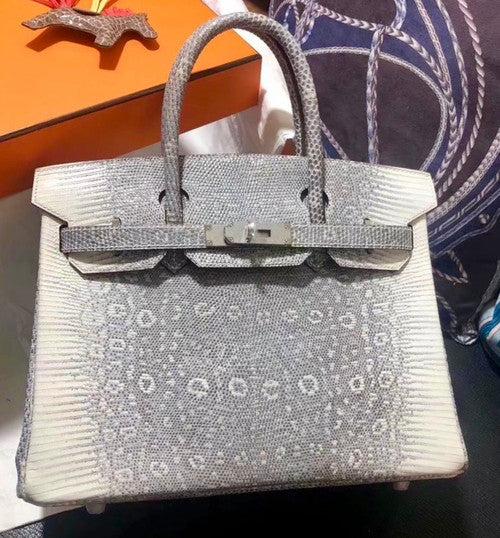 Hermes Rare SHINY OMBRÉ SALVATOR LIZARD BIRKIN 30 WITH PALLADIUM HARDWARE