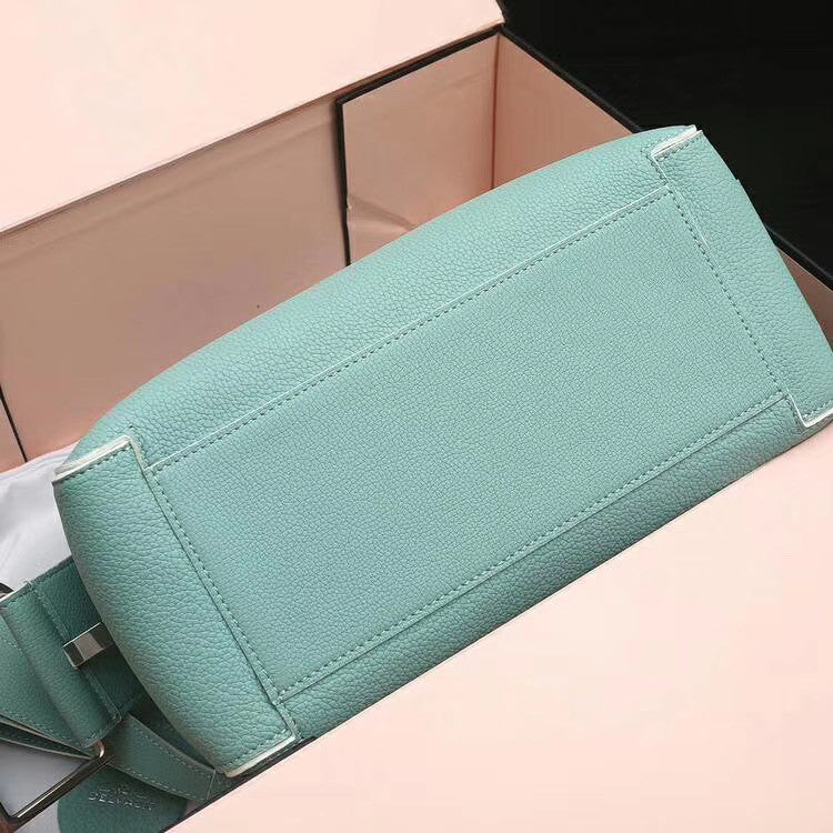 DELVAUX Cool Box Leather Satchel Green