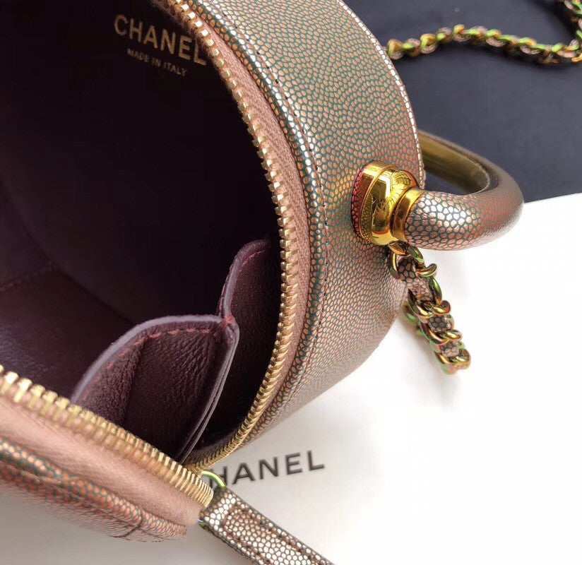 Chanel Metallic  Camera Case  AS0764