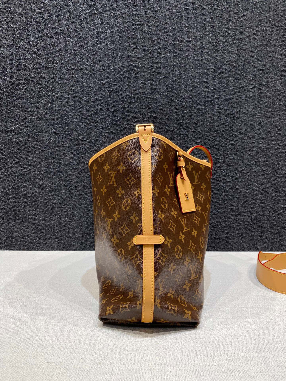 LOUIS VUITTON  M46197 CarryAll MM Bag