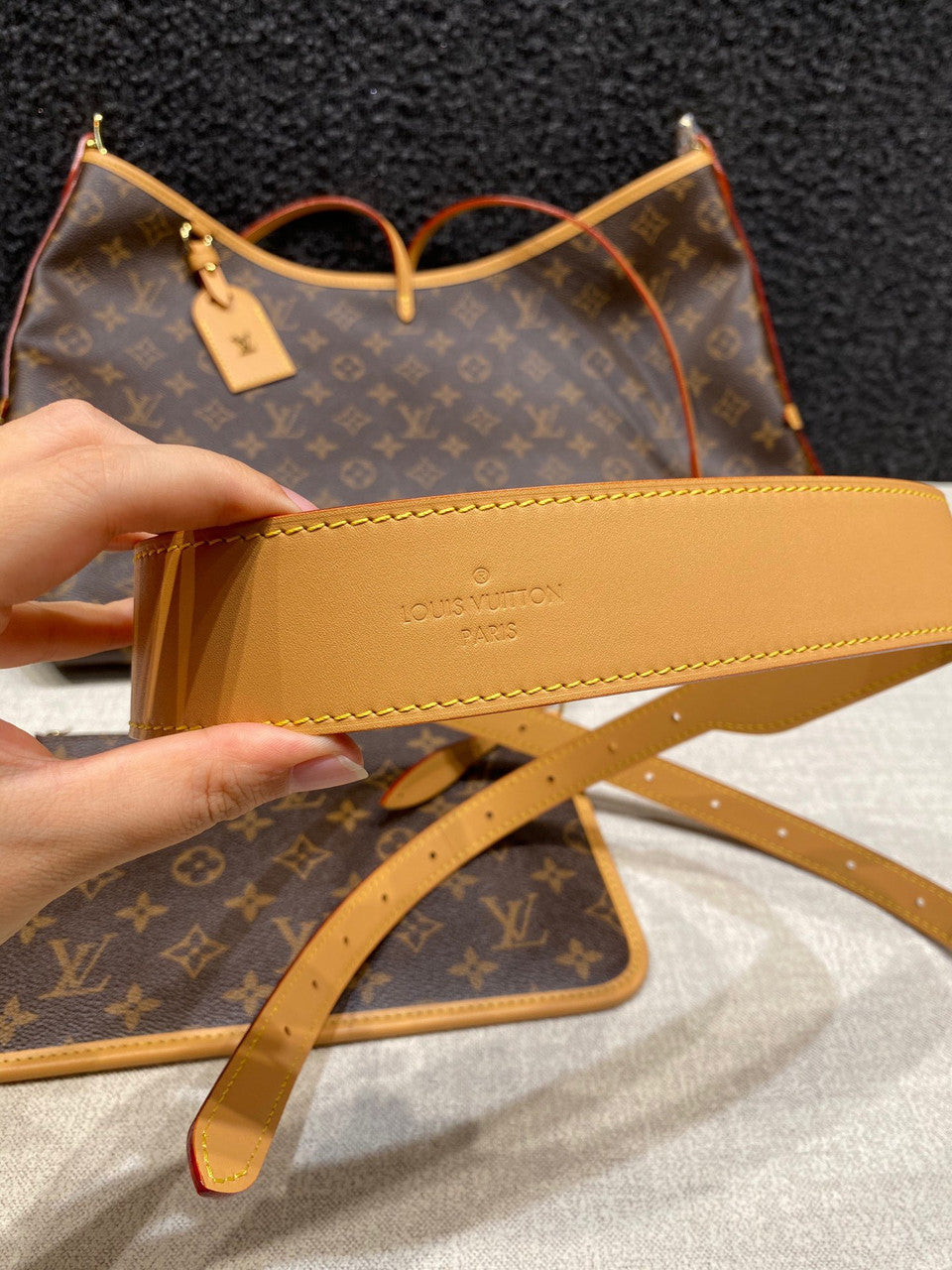 LOUIS VUITTON  M46197 CarryAll MM Bag