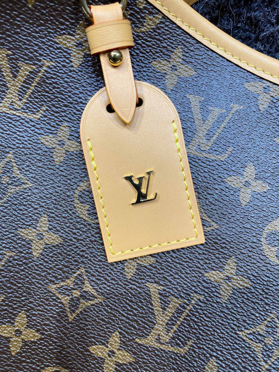 LOUIS VUITTON  M46197 CarryAll MM Bag