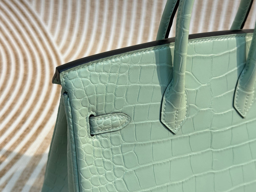 Hermes Mint Birkin Bag 25cm Alligator Palladium Hardware