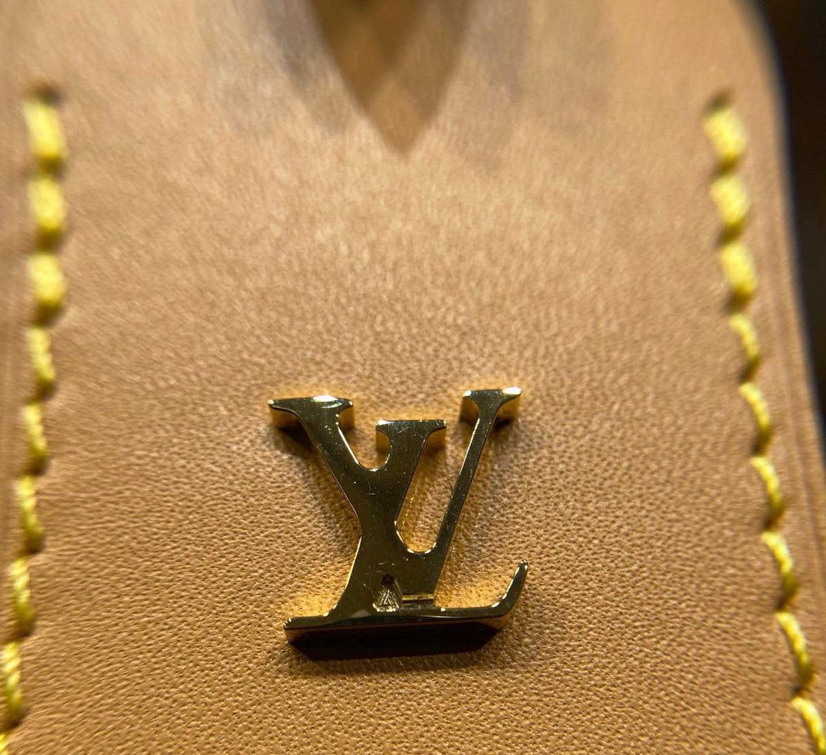 LOUIS VUITTON  M46197 CarryAll MM Bag
