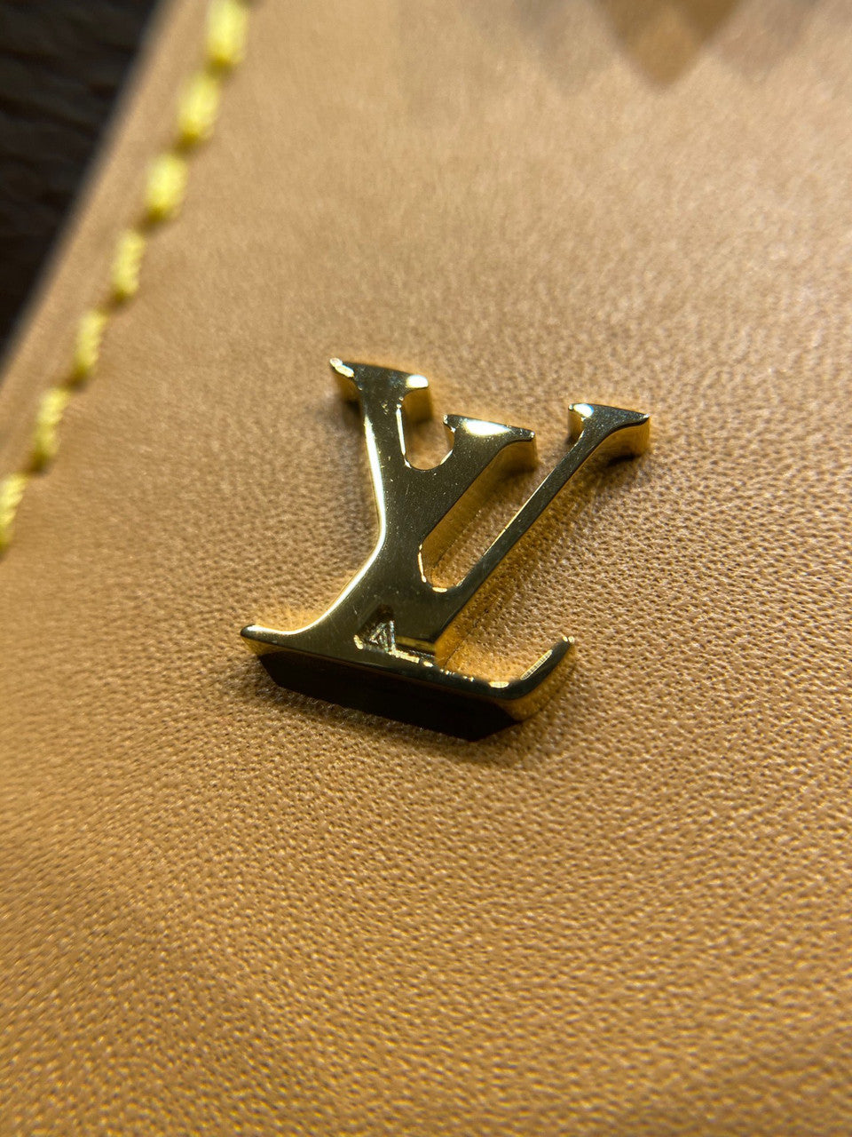 LOUIS VUITTON  M46197 CarryAll MM Bag