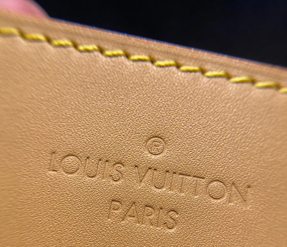 LOUIS VUITTON  M46197 CarryAll MM Bag