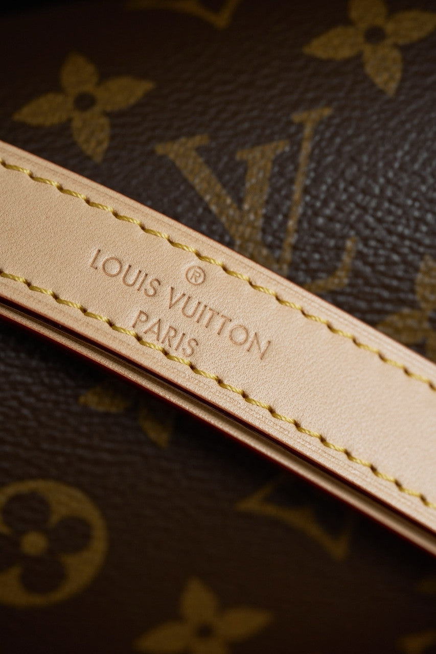 Louis Vuitton M47149 Dauphine Soft GM Bag