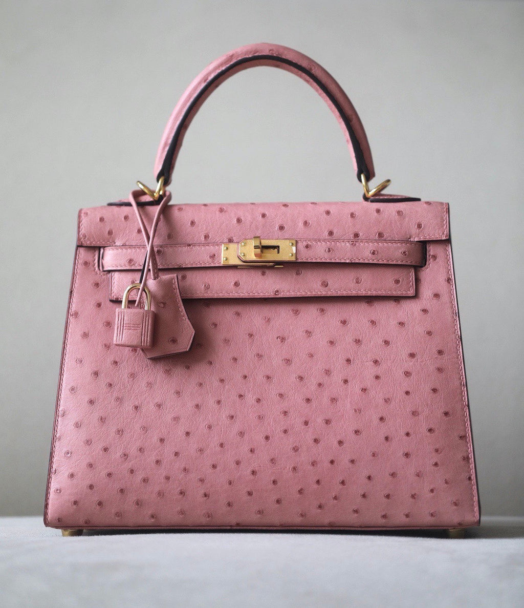 Hermès Kelly 25 Terre Cuite Ostrich With Gold Hardware
