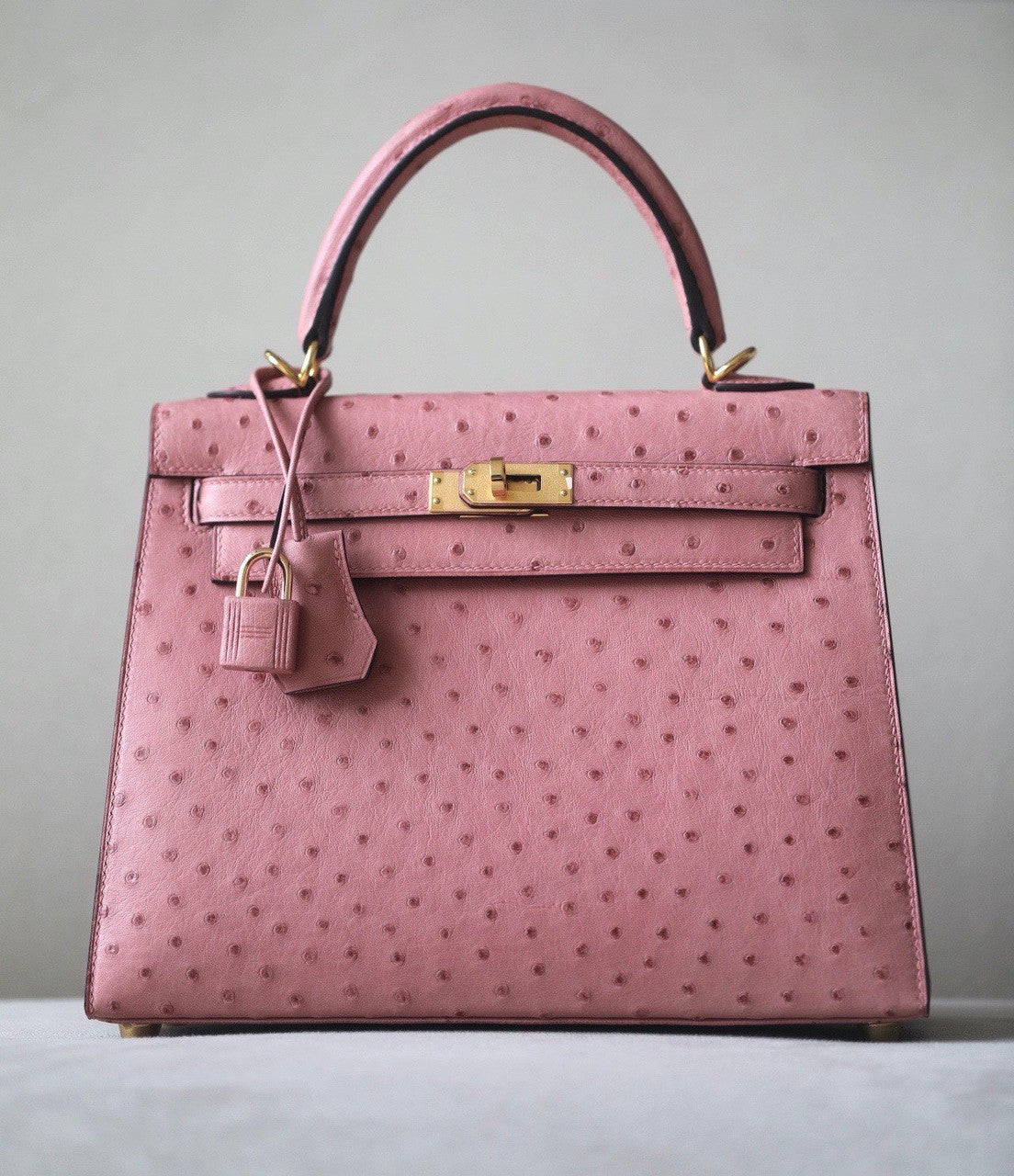 Hermès Kelly 25 Terre Cuite Ostrich With Gold Hardware