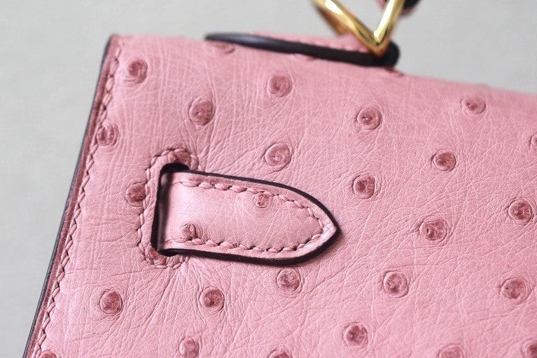 Hermès Kelly 25 Terre Cuite Ostrich With Gold Hardware