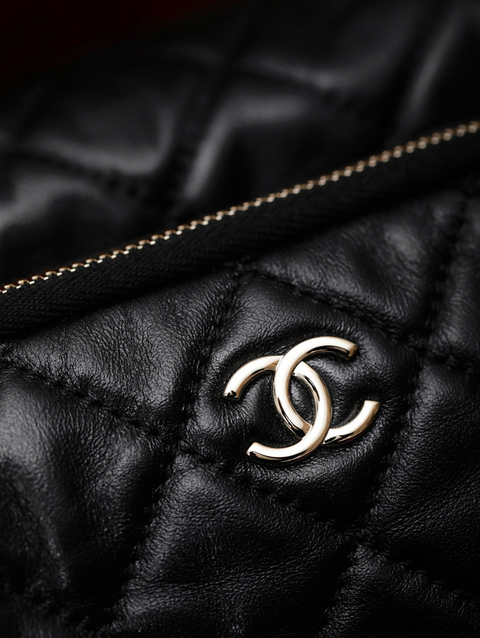 Chanel SMALL CAMERA CASE SS2024