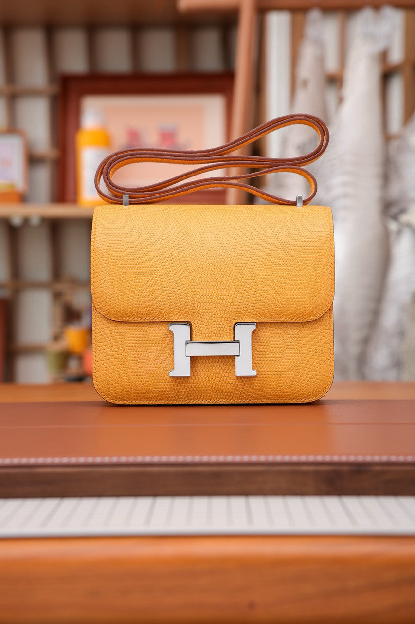 Hermes June D'Or  Constance 18 mini Bougainvillea Lizard bag