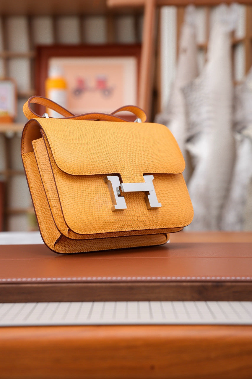 Hermes June D'Or  Constance 18 mini Bougainvillea Lizard bag