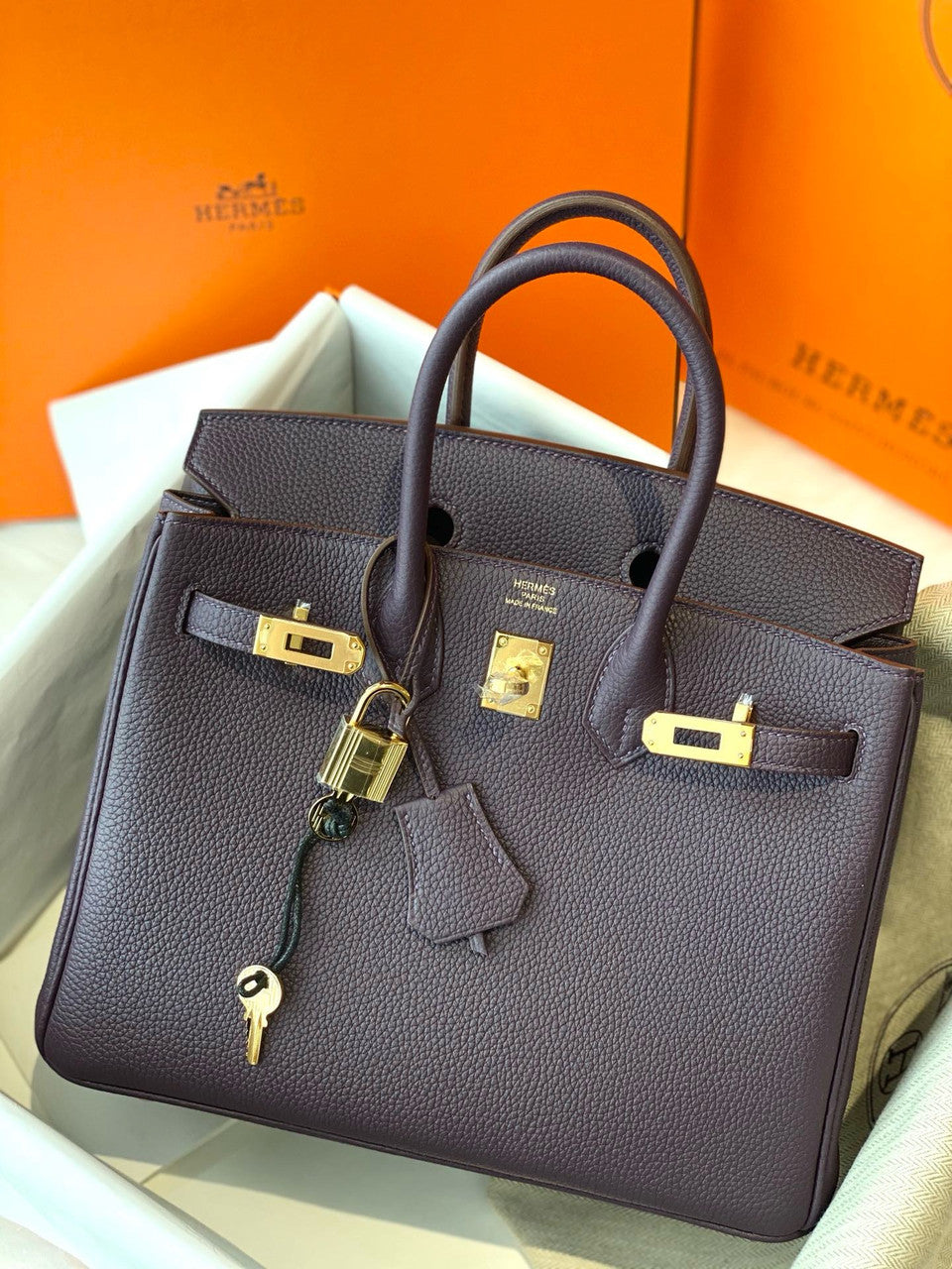 Hermes Raisin Birkin 25 cm Togo Gold Hardware