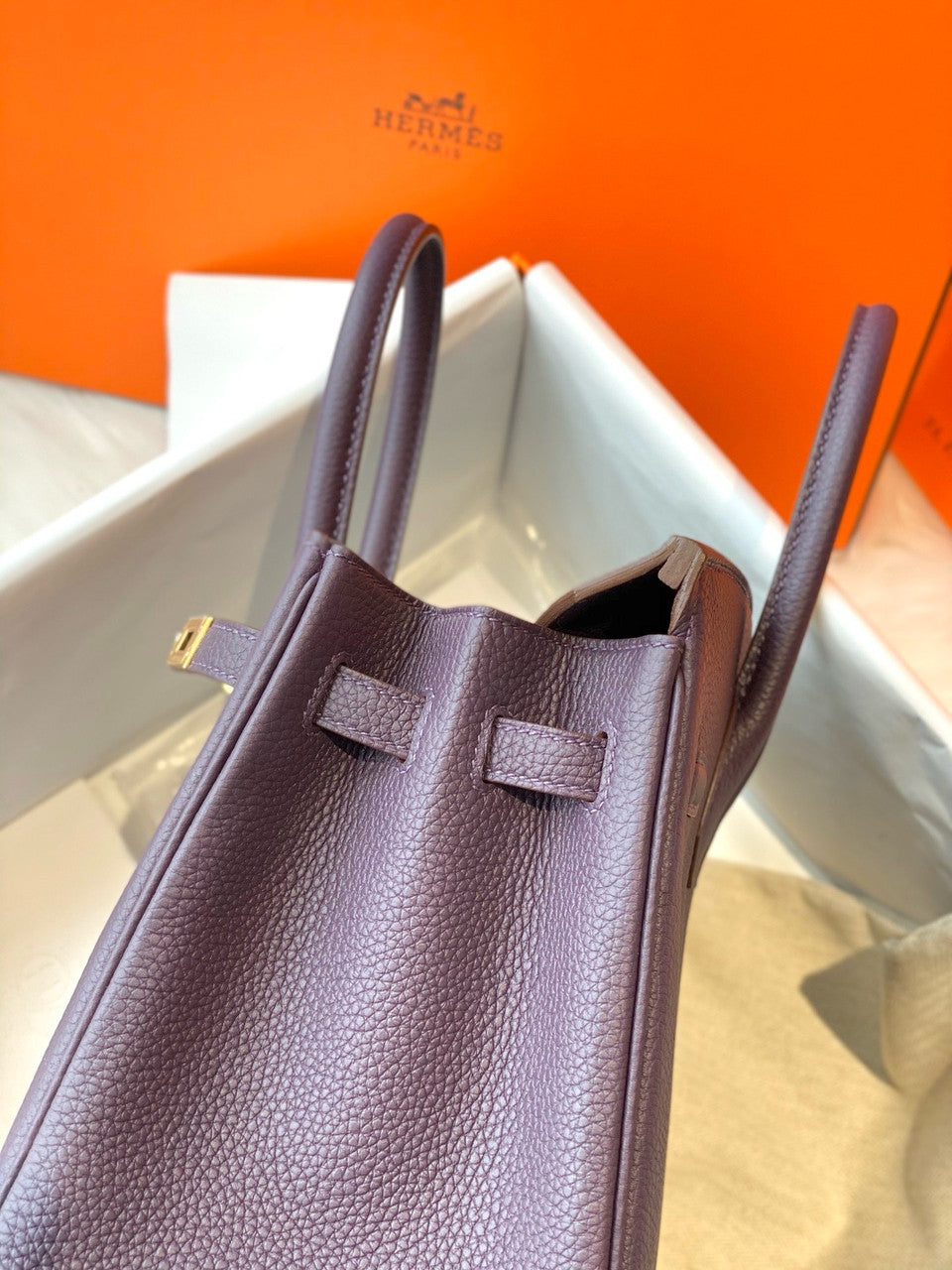 Hermes Raisin Birkin 25 cm Togo Gold Hardware