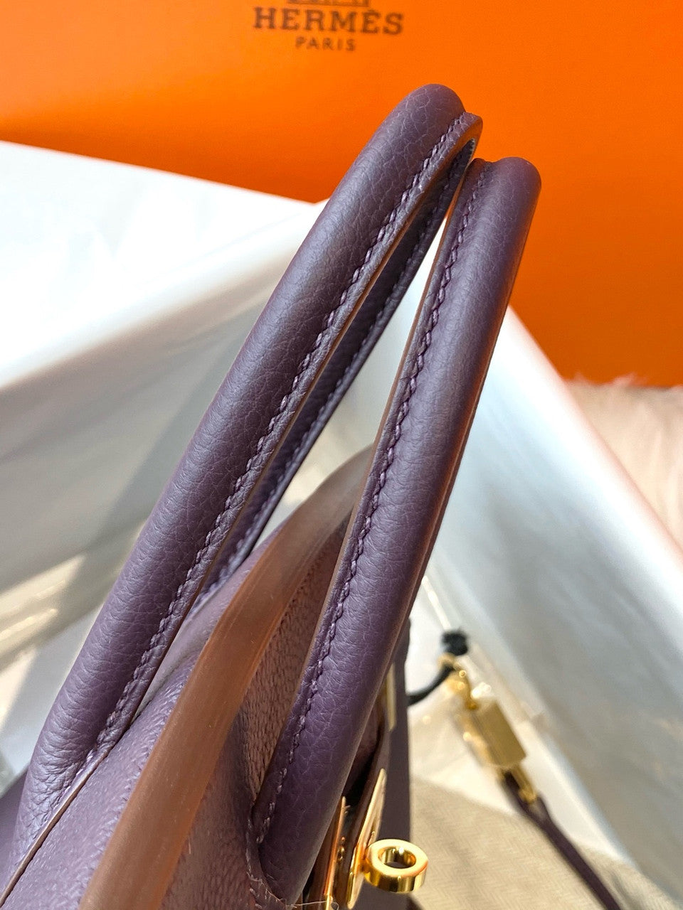 Hermes Raisin Birkin 25 cm Togo Gold Hardware