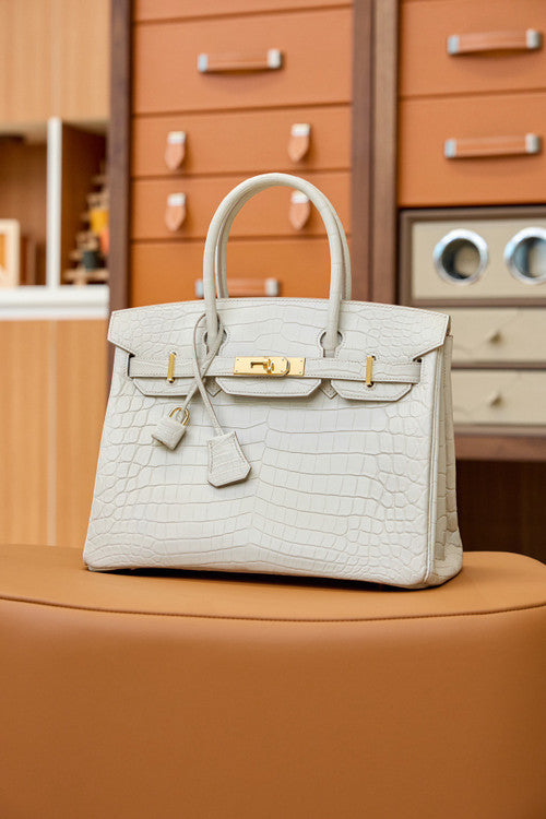 Hermes Birkin 25cm Béton Matte Alligator  with Gold hardware