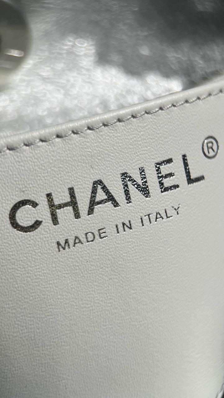 Chanel CRUISE 2024/25 Silver BACKPACK Shiny Lambskin & Gold-Tone Metal Chanel