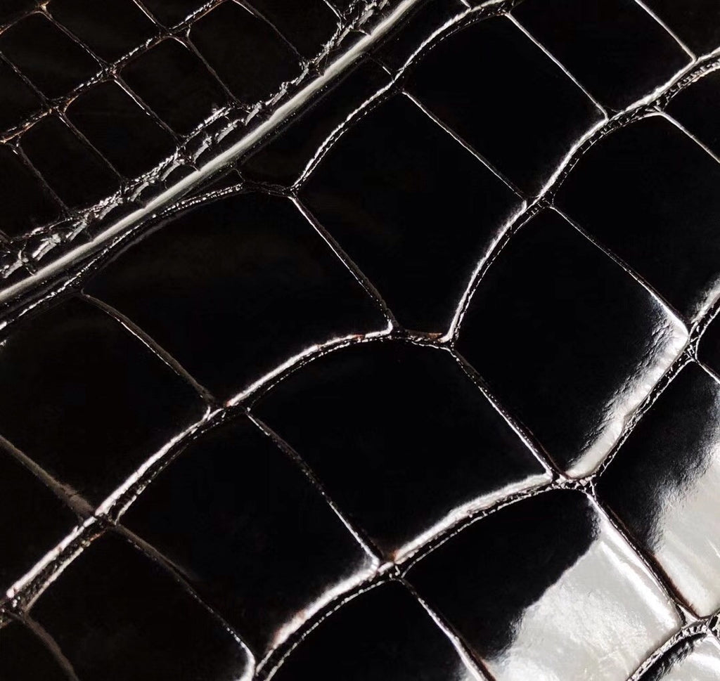 Louis Vuitton CAPUCINES MINI Crocodilien Brillant  N93163