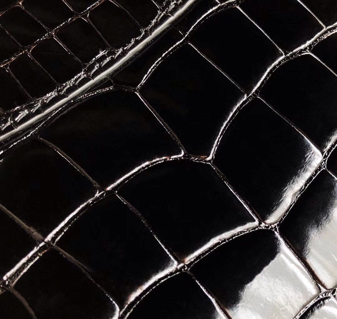 Louis Vuitton CAPUCINES MINI Crocodilien Brillant  N93163