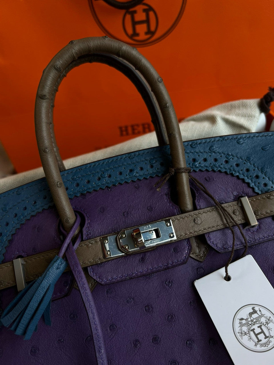 Hermes Birkin Tri-Coloured Ghillies 25 cm handbag in Ostrich