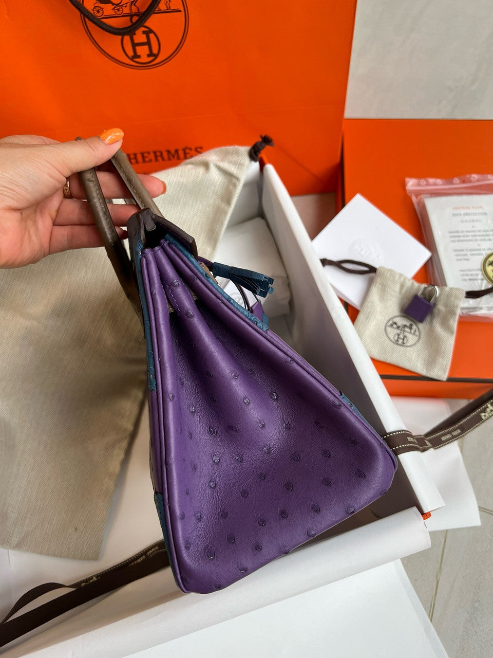 Hermes Birkin Tri-Coloured Ghillies 25 cm handbag in Ostrich