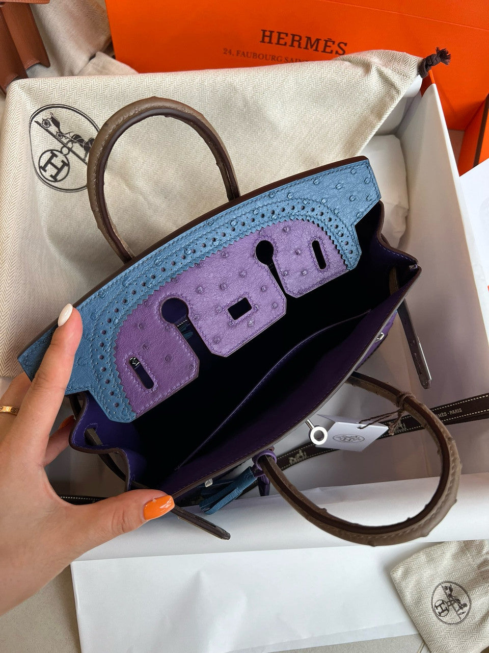 Hermes Birkin Tri-Coloured Ghillies 25 cm handbag in Ostrich