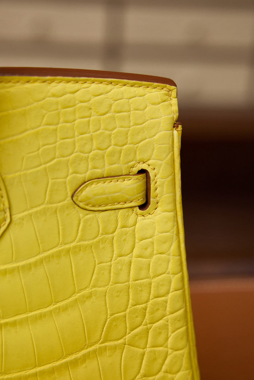 Hermes Birkin 25cm Mimosa Matte Alligator  with Gold hardware