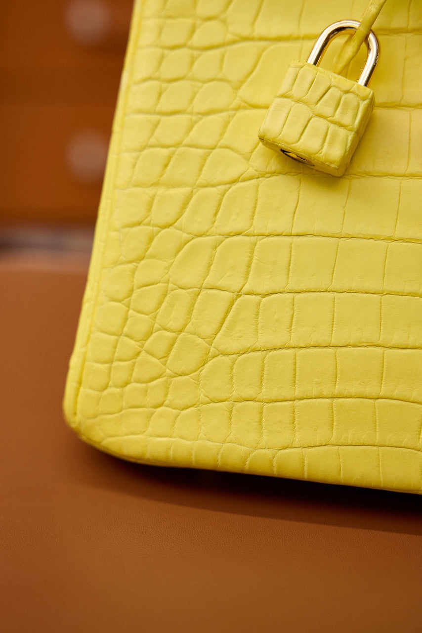 Hermes Birkin 25cm Mimosa Matte Alligator  with Gold hardware