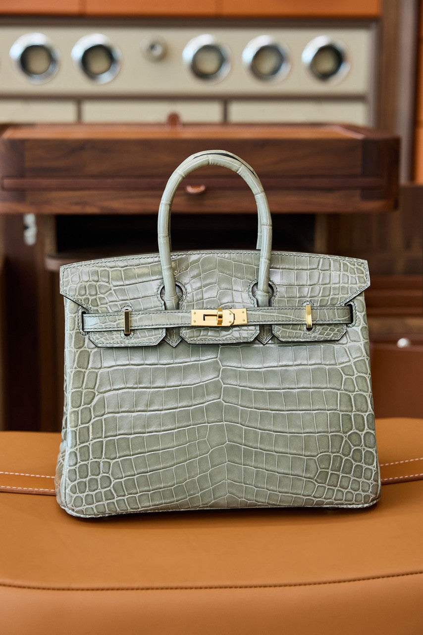 Hermes Gris Tourterelle Birkin Bag 25cm Niloticus Crocodile Leather Gold Hardware