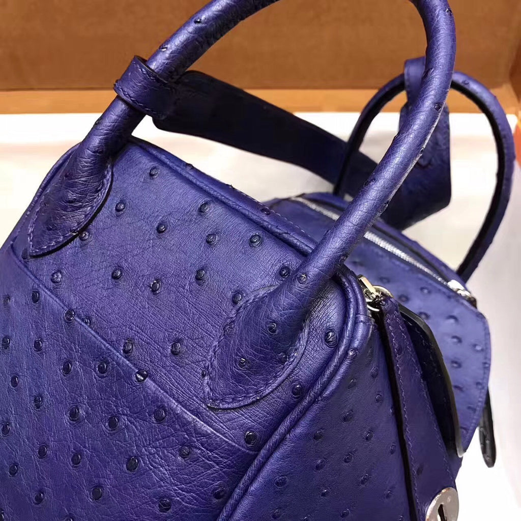 Hermes  BLUE IRIS Lindy 26 Ostrich  Palladium HW