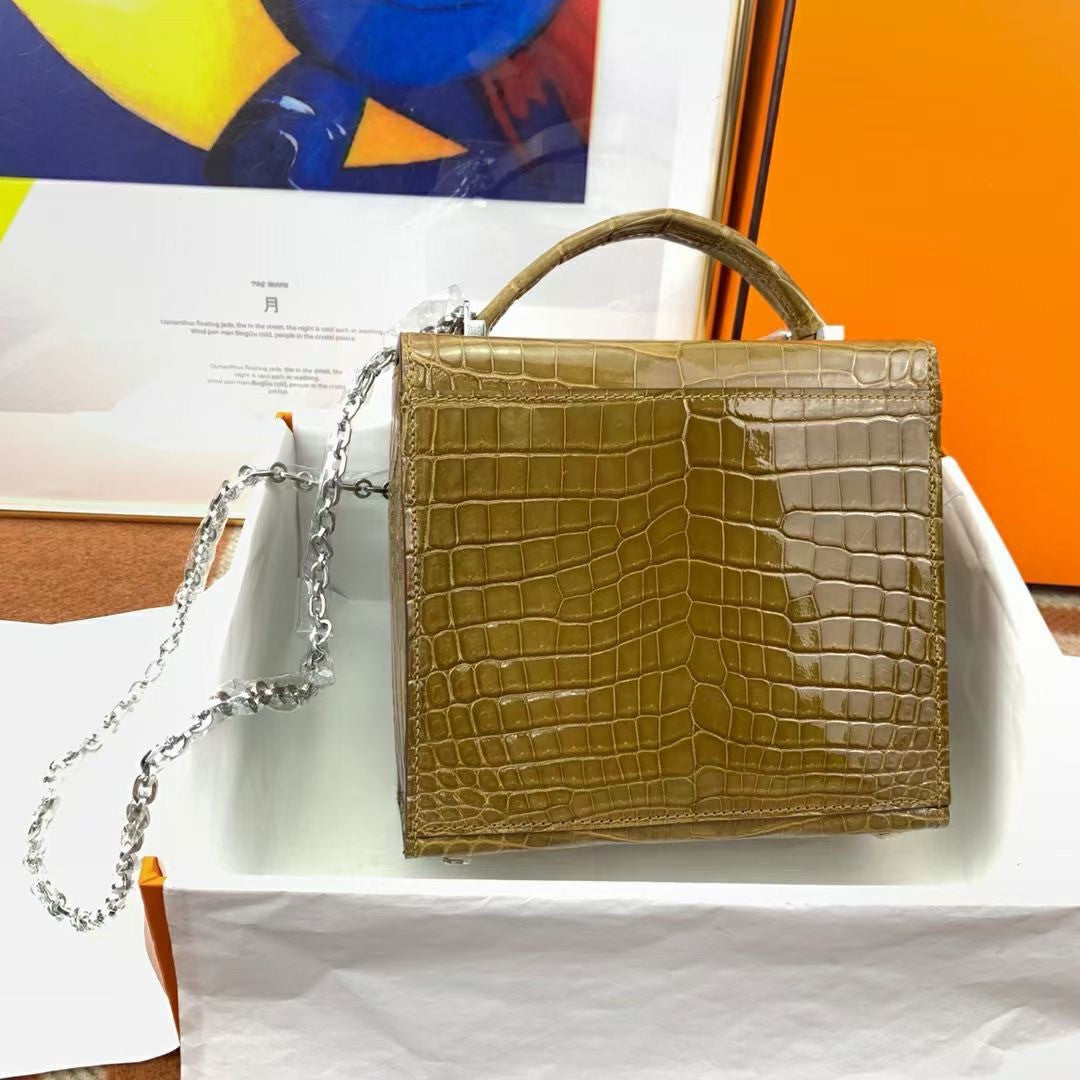 Hermès Shiny Belge Sable Niloticus Mississippiensis Cinhetic Box Bag Hermes