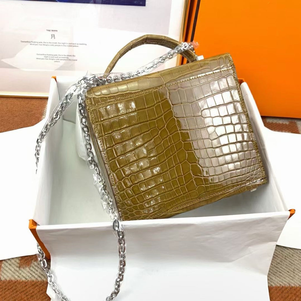 Hermès Shiny Belge Sable Niloticus Mississippiensis Cinhetic Box Bag Hermes