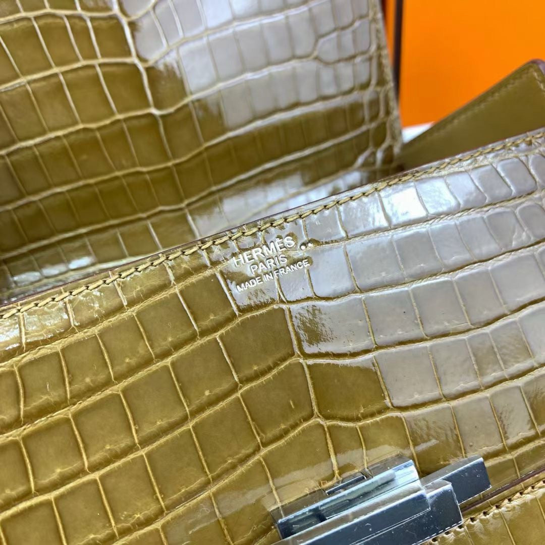 Hermès Shiny Belge Sable Niloticus Mississippiensis Cinhetic Box Bag Hermes