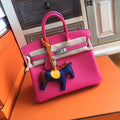 Hermes E5 Rose Tyrien Birkin 25cm Epsom Palladium Hardware(II)