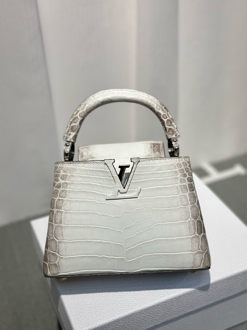 LOUIS VUITTON Himalaya Crocodile BB Capucines