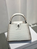 LOUIS VUITTON Himalaya Crocodile BB Capucines