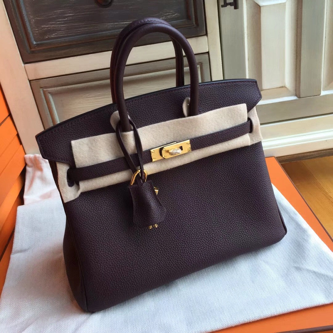 Hermes Prune  Birkin 25cm Togo Gold Hardware