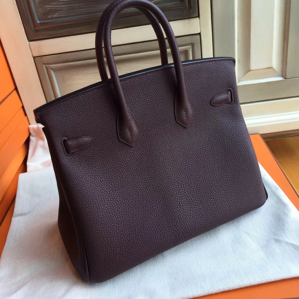 Hermes Prune  Birkin 25cm Togo Gold Hardware