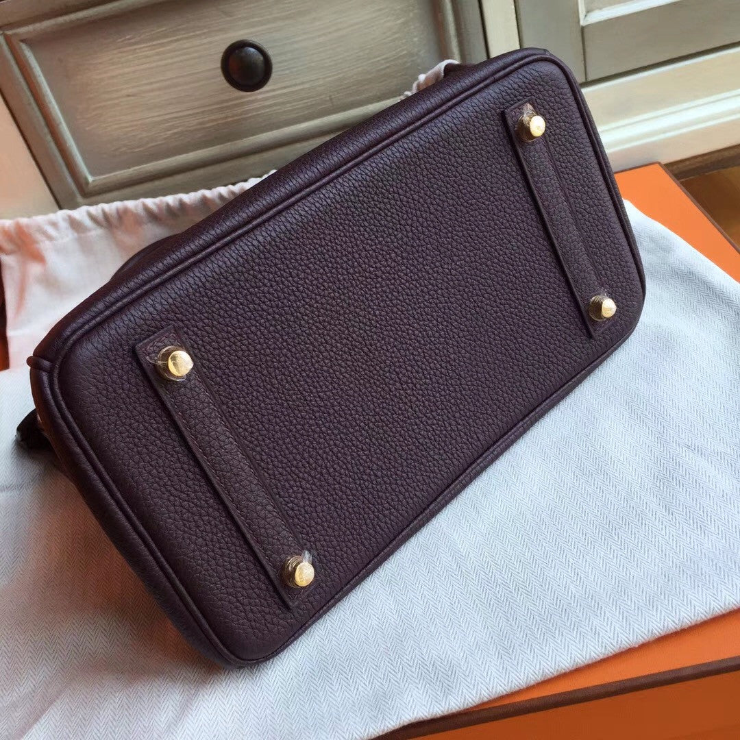 Hermes Prune  Birkin 25cm Togo Gold Hardware